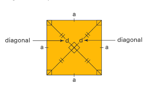 Diagonals of a Square